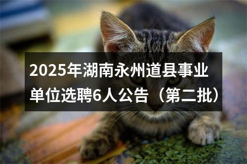2025年湖南永州道县事业单位选聘6人公告（第二批） 图片