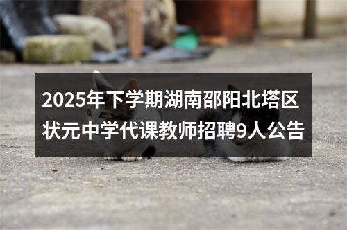 2025年下学期湖南邵阳北塔区状元中学代课教师招聘9人公告 图片